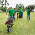 Exploring Volunteer Opportunities for Teens