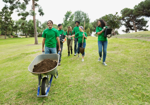 Exploring Volunteer Opportunities for Teens